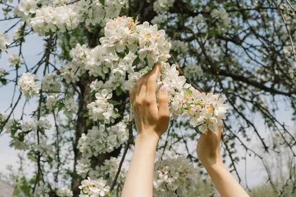 Woman Holding Spring Flowers Her Hands Spring Flowers Abstract Blurred — Photo