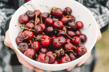 Kız büyük bir tabak olgun kiraz tutuyor. Yaz yemeği ve yaz tatili