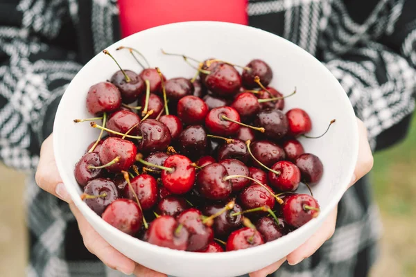 Kız büyük bir tabak olgun kiraz tutuyor. Yaz yemeği ve yaz tatili