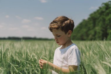 Beyaz tişörtlü ve yeşil arpa tarlasında oynayan gülümseyen bir çocuğun portresi. Mutlu çocuk yaz günü gülüyor ve oynuyor. Doğayı keşfeden çocuk. Meraklı çocuklar için yaz etkinliği