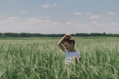 Beyaz tişörtlü ve yeşil arpa tarlasında oynayan gülümseyen bir çocuğun portresi. Mutlu çocuk yaz günü gülüyor ve oynuyor. Doğayı keşfeden çocuk. Meraklı çocuklar için yaz etkinliği