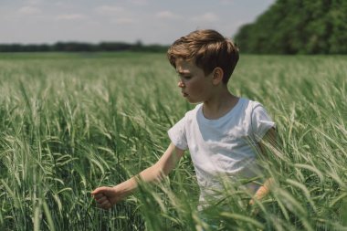 Beyaz tişörtlü ve yeşil arpa tarlasında oynayan gülümseyen bir çocuğun portresi. Mutlu çocuk yaz günü gülüyor ve oynuyor. Doğayı keşfeden çocuk. Meraklı çocuklar için yaz etkinliği