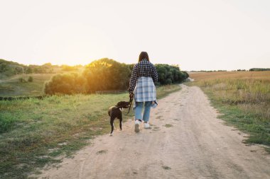 Bir insan ve bir köpek. Teengirl ve onun arkadaş köpegi saha altinda. Güzel, genç bir kadın. Rahat ve tasasız. Güzel köpeğiyle yaz günbatımının tadını çıkarıyor. Yaşam biçimi