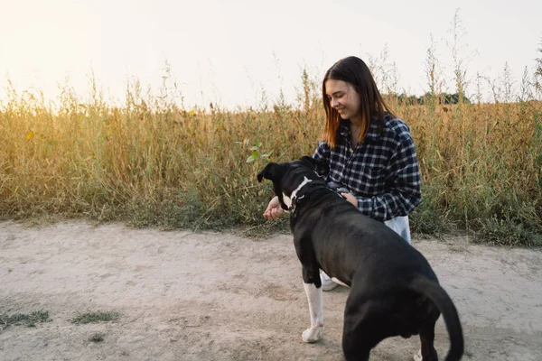 Bir Insan Bir Köpek Teengirl Onun Arkadaş Köpegi Saha Altinda — Stok fotoğraf