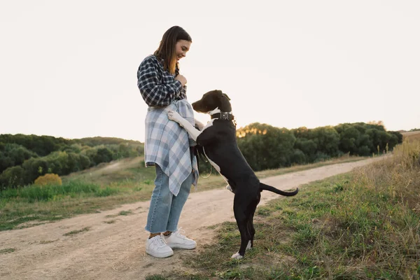 Human and a dog. Teengirl and her friend staffer dog on the field background. Beautiful young woman relaxed and carefree enjoying a summer sunset with her lovely dog. Lifestyle