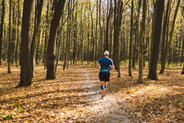 Genç bir adam güneşli bir sonbahar ormanında dışarıda koşuyor. Spor salonunda spor yapan erkek sporcu kıyafeti giyip spor yapıyor. İnsanlar ve spor anlayışı sağlıklı yaşam tarzı, kendini sevme ve refah.