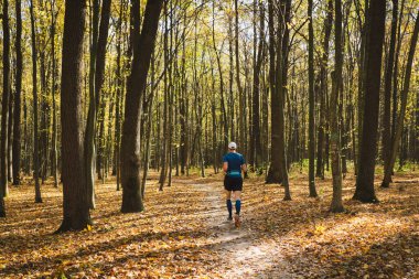 Genç bir adam güneşli bir sonbahar ormanında dışarıda koşuyor. Spor salonunda spor yapan erkek sporcu kıyafeti giyip spor yapıyor. İnsanlar ve spor anlayışı sağlıklı yaşam tarzı, kendini sevme ve refah.