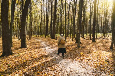 Sonbahar parkında yürüyen yaşlı bir kadın. Sağlıklı yaşam tarzı kavramı. İnsanlar ve spor anlayışı sağlıklı yaşam tarzı, kendini sevme ve refah.