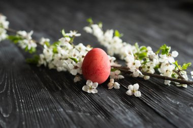 Bahar kiraz çiçekleri ve eski ahşap arka planda Paskalya yumurtaları. Paskalya kavramları