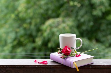 Bir gül çiçeği, bir kitap ve bir fincan kahve. Güzel yaz, sakin bir hayat pencere eşiğinde.