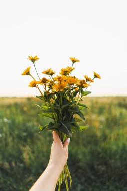 Bir kadının eli tarlada bir buket portakal çiçeği tutuyor. Bir çiçekçinin minimalist fotoğrafı.