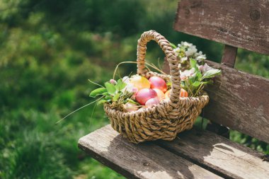 Bir sepet renkli Paskalya yumurtası. Çocuklar doğada otların arasında Paskalya yumurtası arıyorlar. Paskalya yumurtası avlamak
