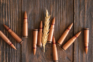 Wheat grains are spread across a wooden table, interspersed with several metal bullet shells. The concept of the photo suggests that grain can be used as a weapon. Hunger as a weapon against humanity clipart