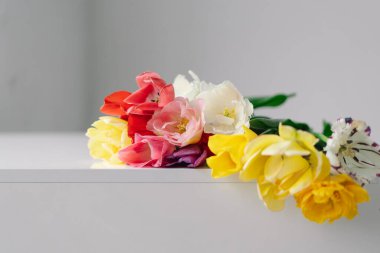 Kırmızı, pembe, sarı ve beyaz da dahil olmak üzere çeşitli renklerde bir lale koleksiyonu yapraklarla düzenli olarak düzenlenir. Sade beyaz arka plan çiçeklerin güzelliğini ve renklerini vurguluyor.