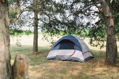Orman ağaçlarıyla çevrili çimenli bir alana birkaç renk çadırı kurulmuş. Bu da bir grup kampçının yaz tatili için buraya yerleştiğini gösteriyor..