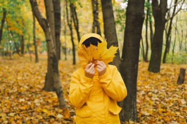 Parlak sarı yağmurluk giymiş neşeli bir çocuk canlı sonbahar yapraklarıyla kaplı sakin bir orman yolunda yürüyor. Sonbahar havası. Güzel sonbahar