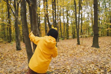 Parlak sarı yağmurluk giymiş neşeli bir çocuk canlı sonbahar yapraklarıyla kaplı sakin bir orman yolunda yürüyor. Sonbahar havası. Güzel sonbahar