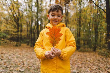 Parlak sarı yağmurluk giymiş neşeli bir çocuk canlı sonbahar yapraklarıyla kaplı sakin bir orman yolunda yürüyor. Sonbahar havası. Güzel sonbahar