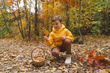 Parlak sarı yağmurluk giymiş neşeli bir çocuk canlı sonbahar yapraklarıyla kaplı sakin bir orman yolunda yürüyor. Sonbahar havası. Güzel sonbahar