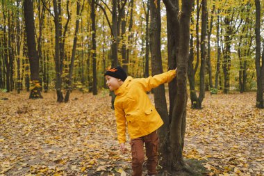 Parlak sarı yağmurluk giymiş neşeli bir çocuk canlı sonbahar yapraklarıyla kaplı sakin bir orman yolunda yürüyor. Sonbahar havası. Güzel sonbahar