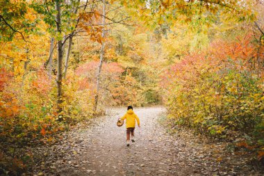 Parlak sarı yağmurluk giymiş neşeli bir çocuk canlı sonbahar yapraklarıyla kaplı sakin bir orman yolunda yürüyor. Sonbahar havası. Güzel sonbahar