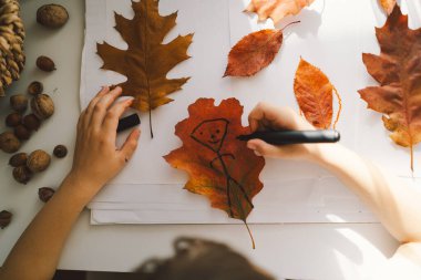 Genç bir çocuk, parlak, güneşli bir masa üzerindeki bir sanat projesi için çeşitli sonbahar yapraklarını kullanarak yaratıcı bir faaliyete konsantre olur. Evde rahat bir sonbahar tatili.