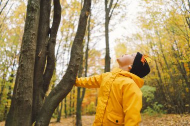 Parlak sarı yağmurluk giymiş neşeli bir çocuk canlı sonbahar yapraklarıyla kaplı sakin bir orman yolunda yürüyor. Sonbahar havası. Güzel sonbahar