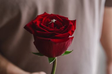 Bir insan, taç yapraklarının arasına yerleştirilmiş zarif bir nişan yüzüğü içeren canlı kırmızı bir gül tutar. Ayarlar romantik bir anı çağrıştırıyor, evlilik teklifleri ya da yıldönümleri için mükemmel. Sevgililer Günün kutlu olsun..