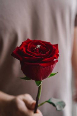 Bir insan, taç yapraklarının arasına yerleştirilmiş zarif bir nişan yüzüğü içeren canlı kırmızı bir gül tutar. Ayarlar romantik bir anı çağrıştırıyor, evlilik teklifleri ya da yıldönümleri için mükemmel. Sevgililer Günün kutlu olsun..