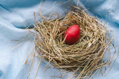 Canlı Paskalya yumurtaları samandan yapılmış rahat bir yuvaya yerleştirilir, neşeli çiçekler yumuşak mavi bir arkaplana karşı tezat oluşturur. Bu sahne bahar ve Paskalya 'nın şenlikli ruhunu yansıtıyor.