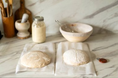 Taze hazırlanmış mayalı ekmek hamuru, aktif bir başlangıç kabı ve karıştırma kabının yanındaki parşömenin üzerinde duruyor..
