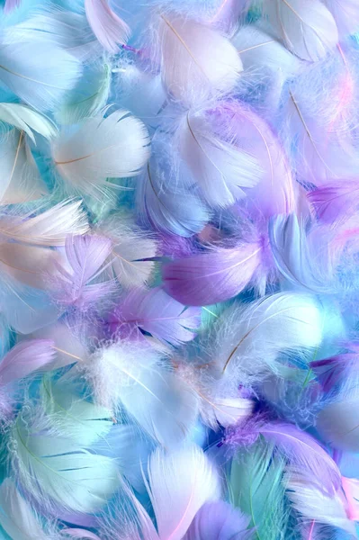 Angelic Pastel着色された白い羽の背景 小さなふわふわの青い羽がランダムに背景を形成散乱 ストック画像