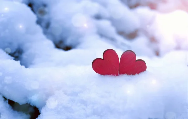 겨울에 나뭇가지에 휴일입니다 발렌타인 하입니다 — 스톡 사진