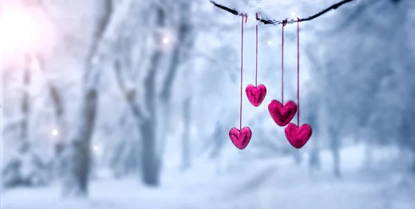 Червоні Серця Гілці Сніжного Дерева Взимку Відпустка Щасливого Святкування Дня — стокове фото