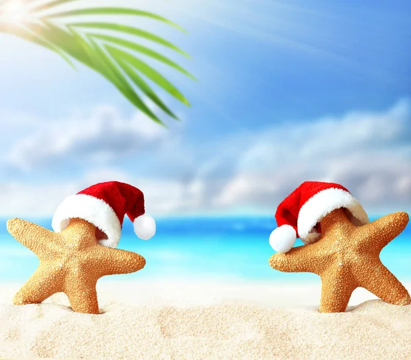 Dwie Rozgwiazdy Czapce Świętego Mikołaja Letniej Plaży Wesołych Świąt Koncepcja — Zdjęcie stockowe