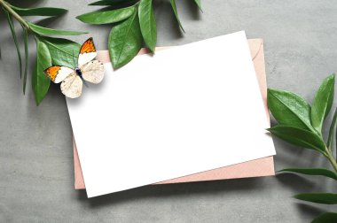 Mock up card with zamioculcas leaf and butterfly. Invitation card with envelope on grey background.
