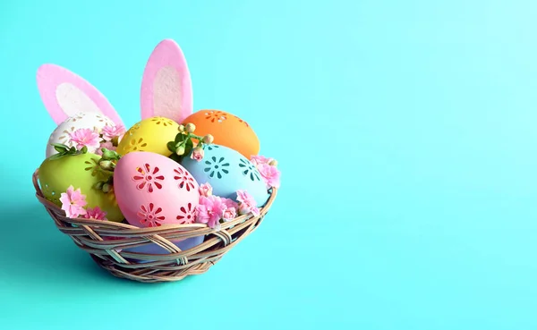 Multi colors Easter eggs in the basket with bunny ears and flowers on blue background. Pastel color Easter eggs