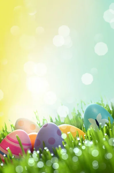 新鮮な緑の芝生での復活祭の卵の行 ストック画像