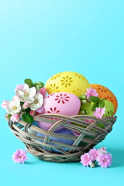 Multi colors Easter eggs in the basket and flowers on blue background. Pastel color Easter eggs