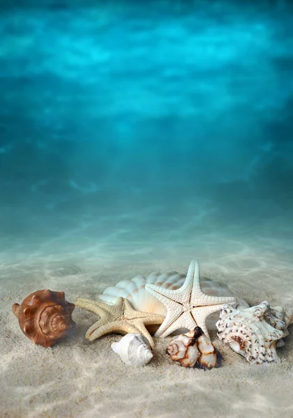 Сірки Літньому Пляжі Морській Воді Фон Підводного Океану — стокове фото
