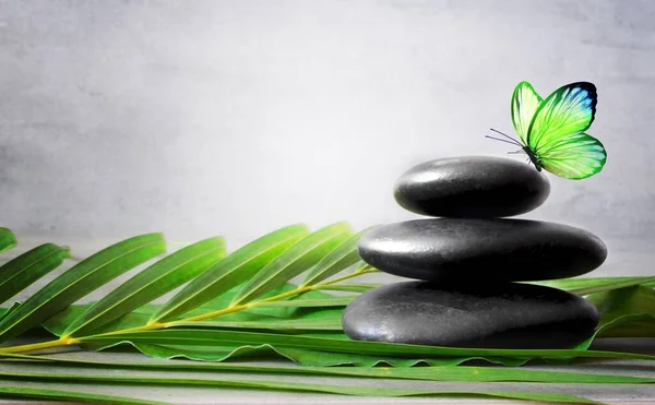 Steine Balancieren Palme Und Schmetterling Zen Und Wellness Konzept — Stockfoto