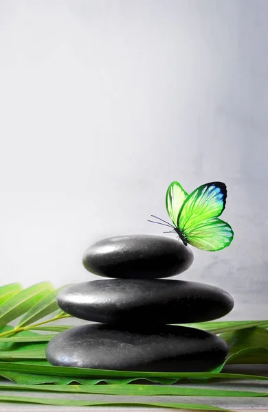 Bilanciamento Delle Pietre Palma Farfalla Concetto Zen Spa — Foto Stock