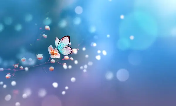 ライトブルーの背景の日の出に春の開花木の枝の上を飛ぶ美しい青い蝶 ロイヤリティフリーのストック画像