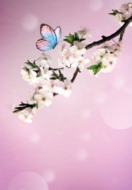 Doğanın arka planında kelebekli çiçek ağacı. Bahar çiçekleri. Bahar arka planı. Bulanık konsept.