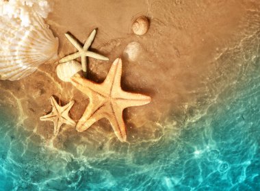 Deniz yıldızı ve deniz suyu yaz sahilde deniz kabuğu. Yaz arka plan. Yaz saati.