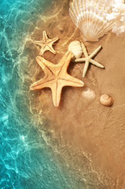 Deniz yıldızı ve deniz suyu yaz sahilde deniz kabuğu. Yaz arka plan. Yaz saati.