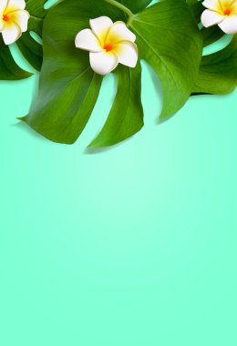 Yaz tasarımı konsepti. Mavi arka planda çiçek ve canavar yapraklı tatil kumsalı manzarası..