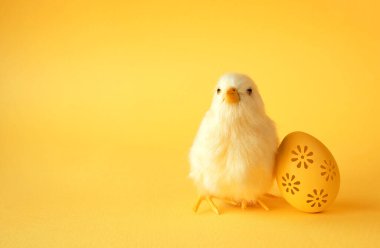 Soğuk tavuk ve yumurtalı bir Paskalya süsü. Paskalya tatili konsepti.