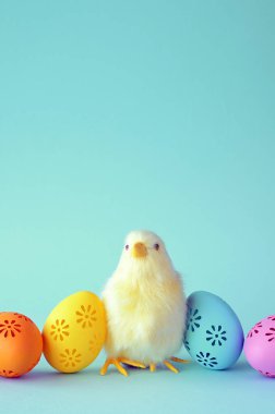 Soğuk tavuk ve yumurtalı bir Paskalya süsü. Paskalya tatili konsepti.