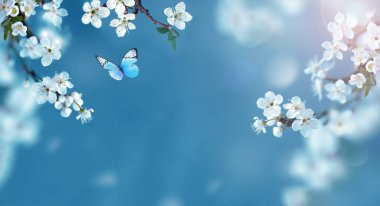 Doğanın arka planında kelebekli çiçek ağacı. Bahar çiçekleri. Bahar arka planı. Bulanık konsept.
